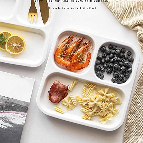 Assiette Tamume en Porcelaine Blanche à 3 Compartiments pour Adultes | Lot de 2 Assiettes Carrées | Contrôle des Portion